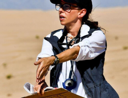 Rebecca Donaghe