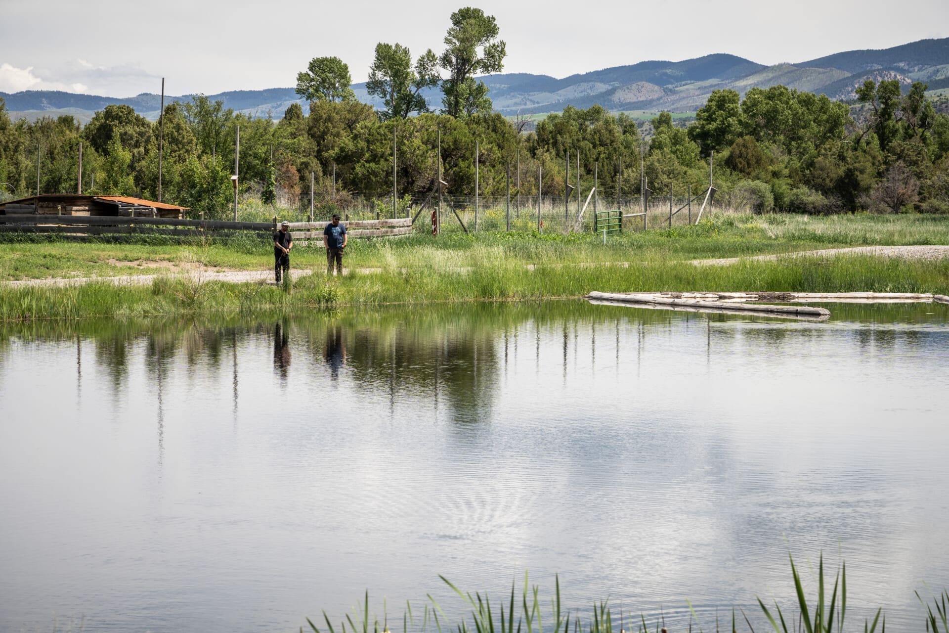 DSC03505-1920×1280-1